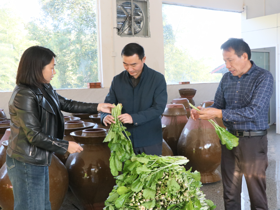 微信图片_20241101084722