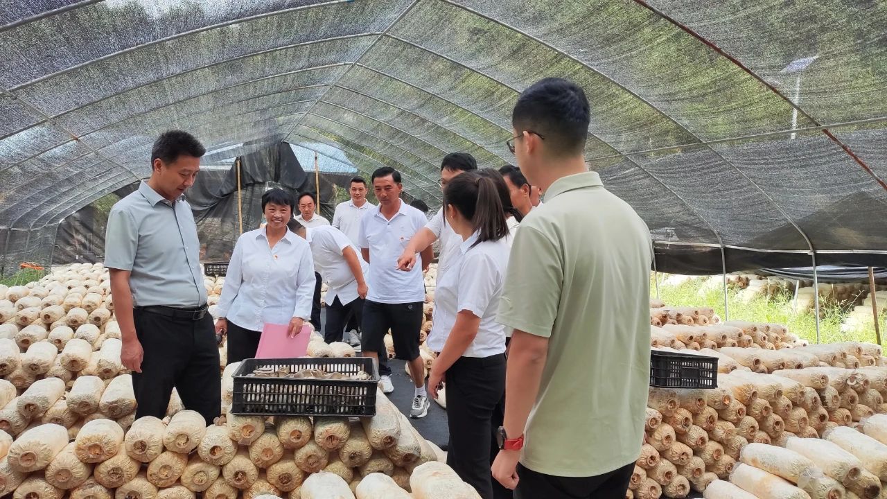 D:\Documents\WeChat Files\wxid_93fnk9ywzkz311\FileStorage\Temp\0e767daf9edb9b202c9516178365efee.jpg