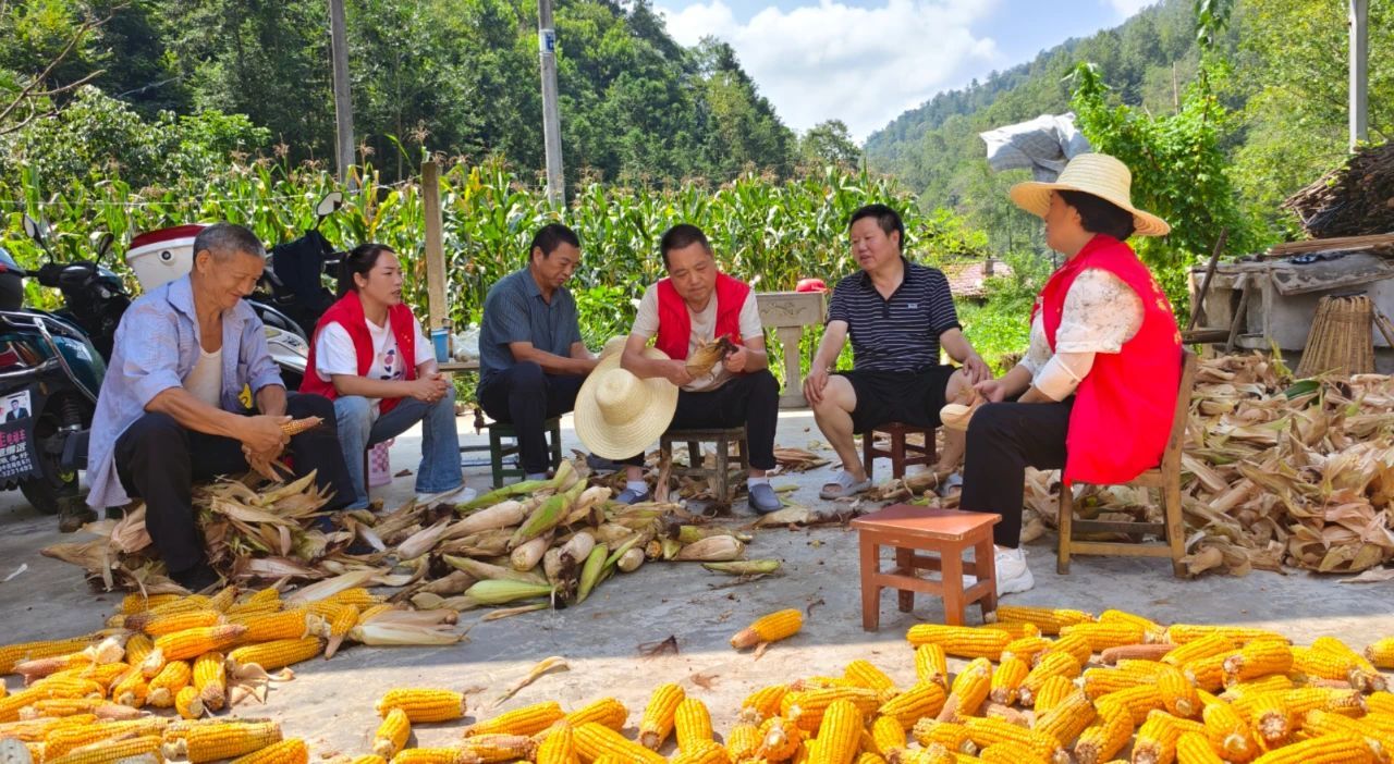 D:\Documents\WeChat Files\wxid_93fnk9ywzkz311\FileStorage\Temp\96f8a01d8f0a67acc82346f5b25a2a9d.jpg