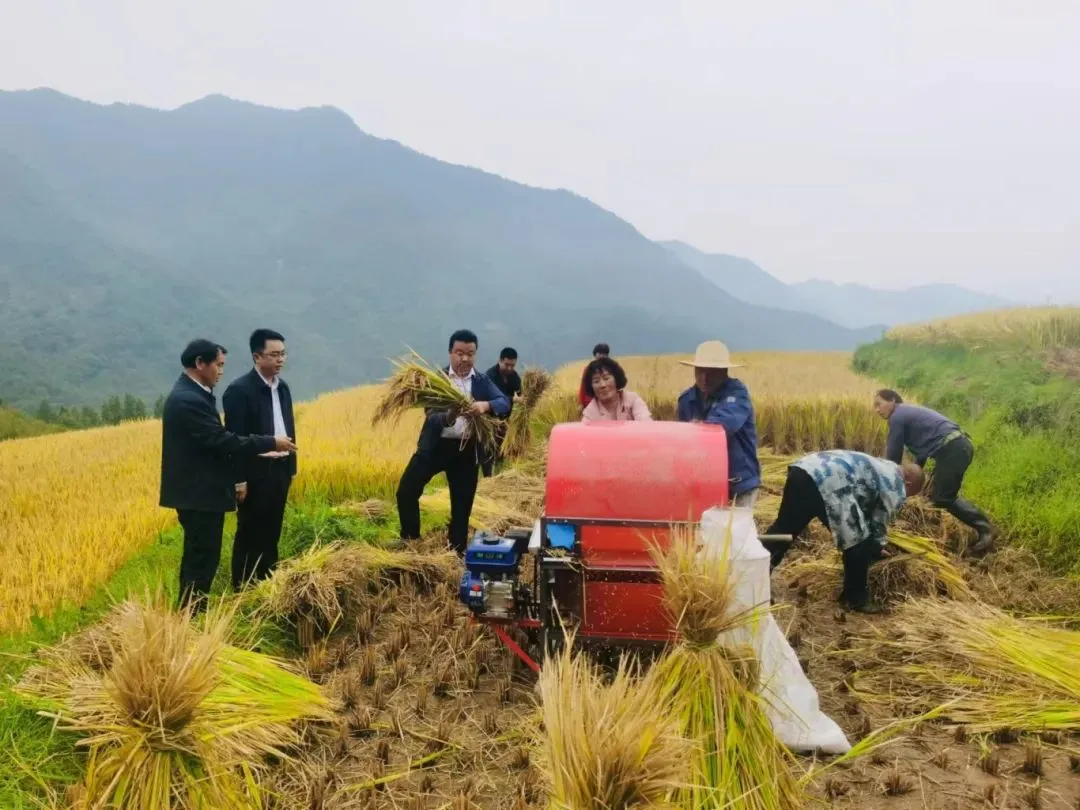 C:\Users\ADMINI~1\AppData\Local\Temp\WeChat Files\1b3fdcf20b99ee5423b2ef8e8417ae2.jpg