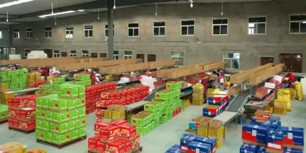 12100.jpg