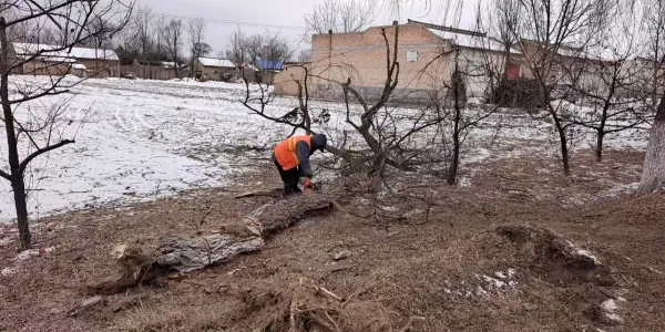 93a5d66e916ecc18b7c731b5163b0b18