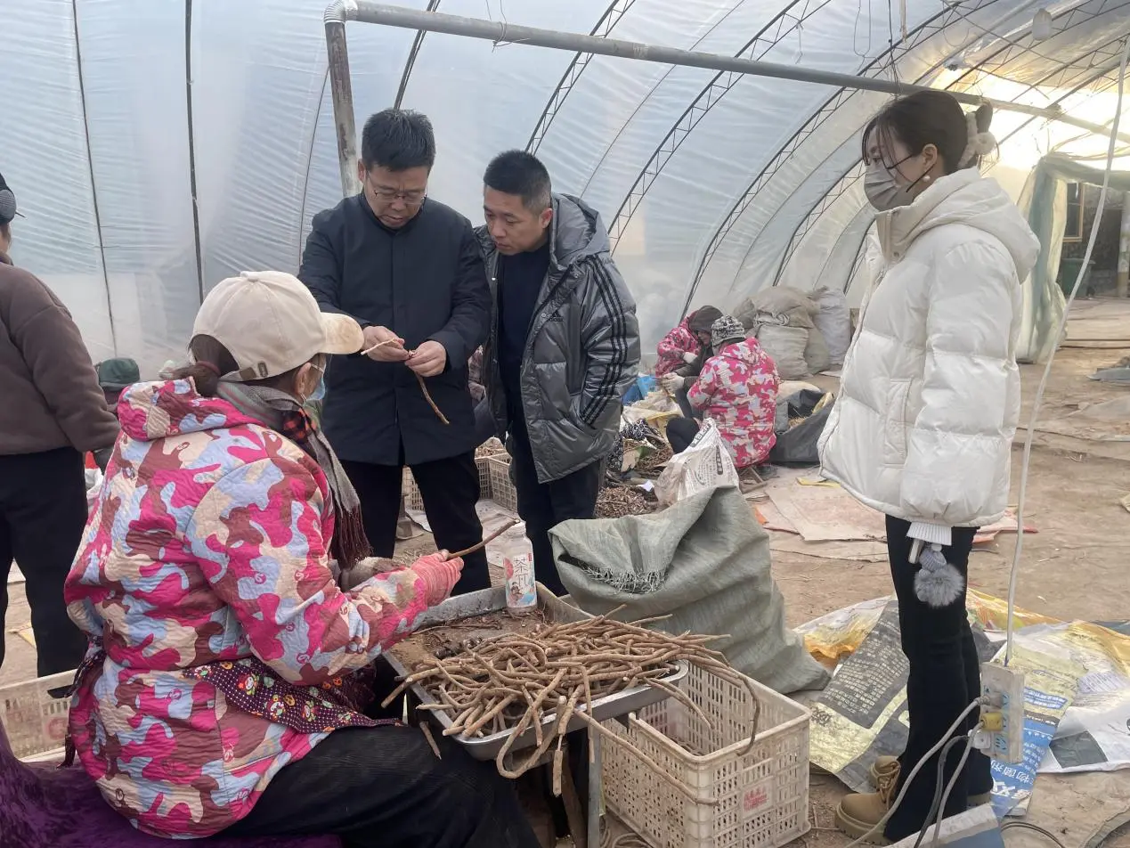 19bbae81b23bc1a3942bdf40dd2c13a