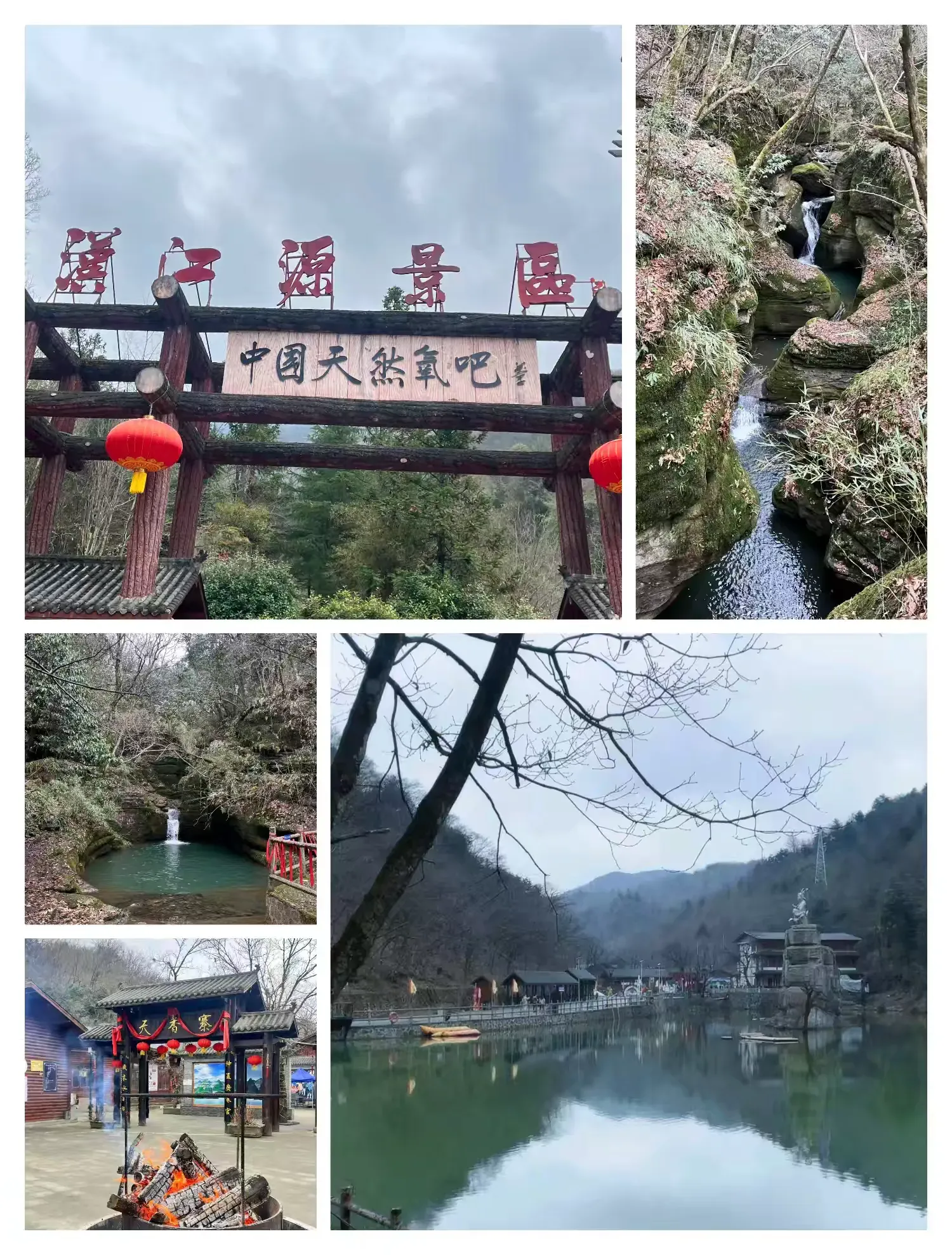 简篇-春日有约 绽放芳华——西乡农行与您共庆2025年国际妇女节