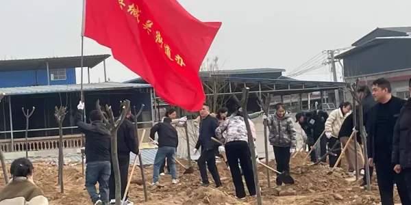 简篇-春植新绿,共筑美好家园