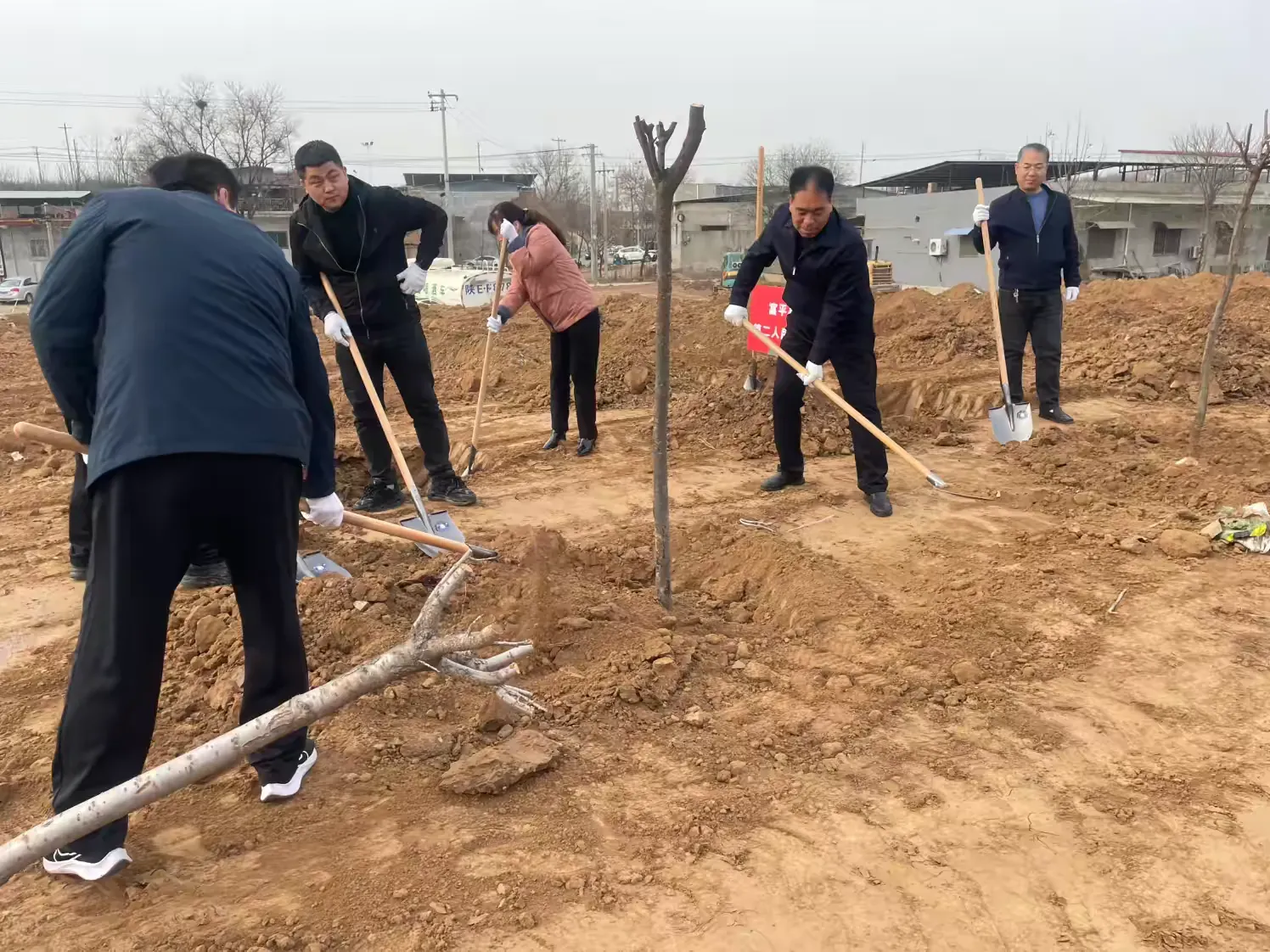 简篇-春植新绿,共筑美好家园