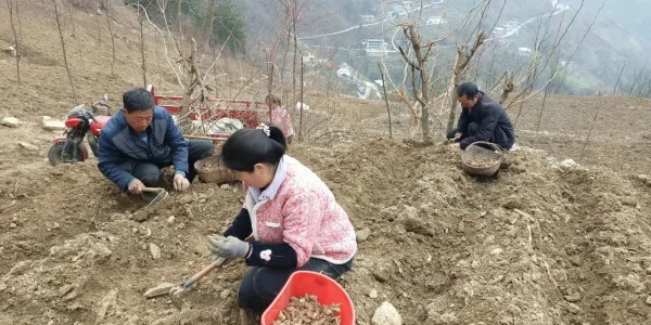 C:\Users\ADMINI~1\AppData\Local\Temp\WeChat Files\6482ed1754c4b449d7645f31fcec25e.jpg