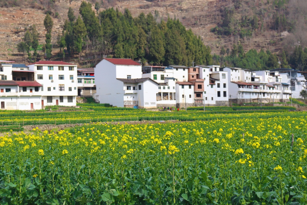 C:\Users\Administrator\Desktop\“小花”开出“大经济” 红色文旅促振兴\7e1e6efdf2eb6d8130fb8f884317a0a.jpg