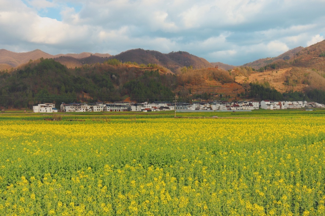 C:\Users\Administrator\Desktop\“小花”开出“大经济” 红色文旅促振兴\9c4c2ae999e85df33976408c9c6baaf.jpg