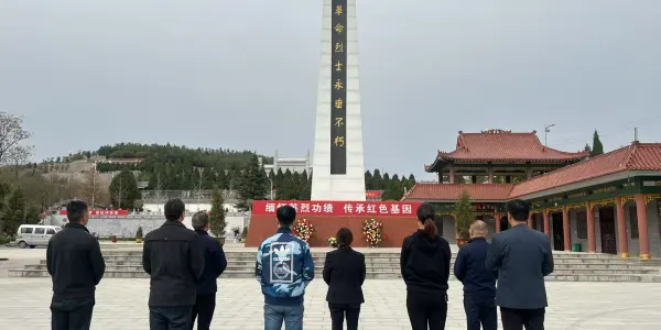 62cc6f8a78a26b6eb3a149aa24084871