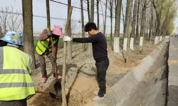 e7b64d0e6620324211046d0f2887c2d4