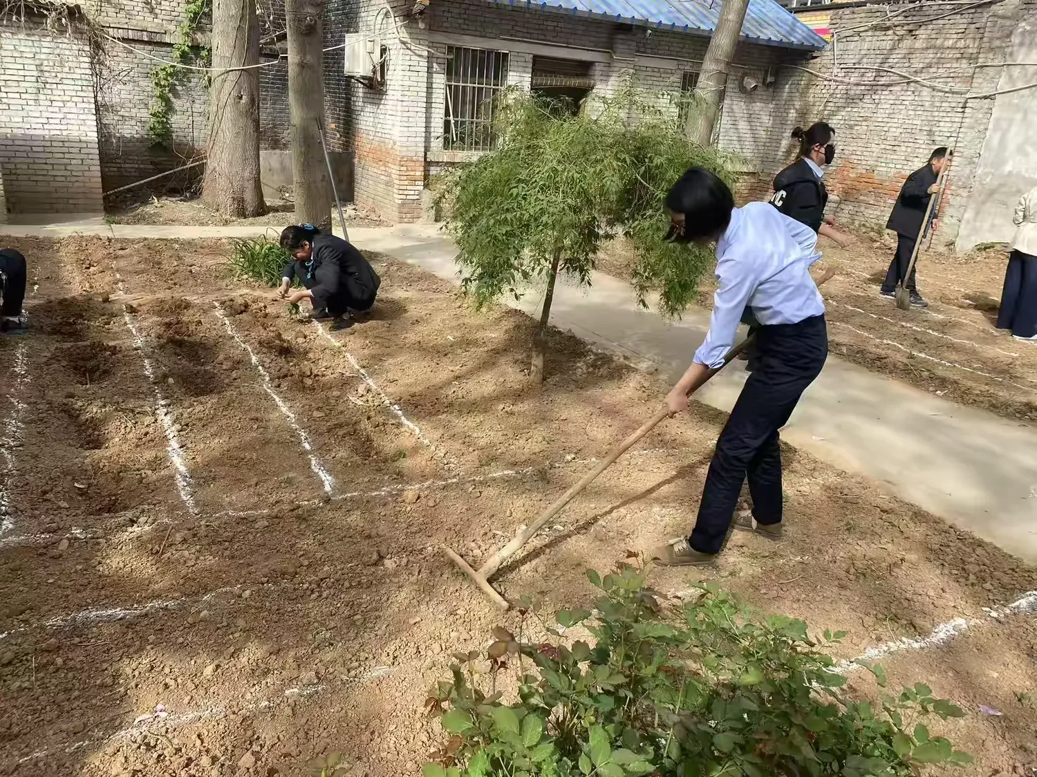 简篇-农行蓝田县支行组织开展‍“田园种植行”活动