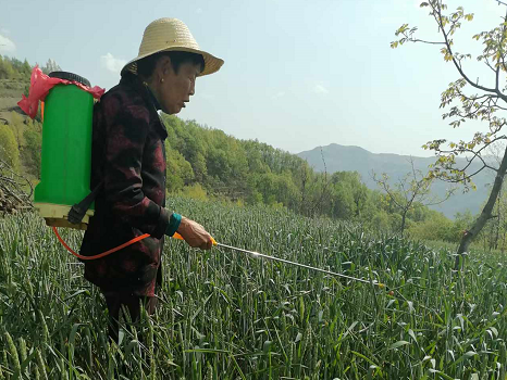 C:\Users\ADMINI~1\AppData\Local\Temp\WeChat Files\e1d1fe4ce39e74ec1fb2272d6d1cf69.png