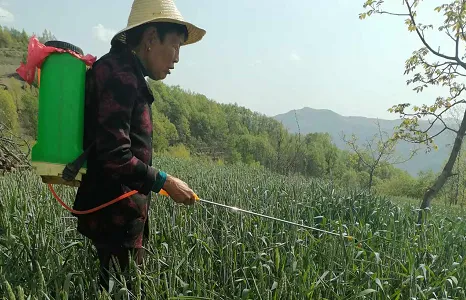 C:\Users\ADMINI~1\AppData\Local\Temp\WeChat Files\e1d1fe4ce39e74ec1fb2272d6d1cf69.png