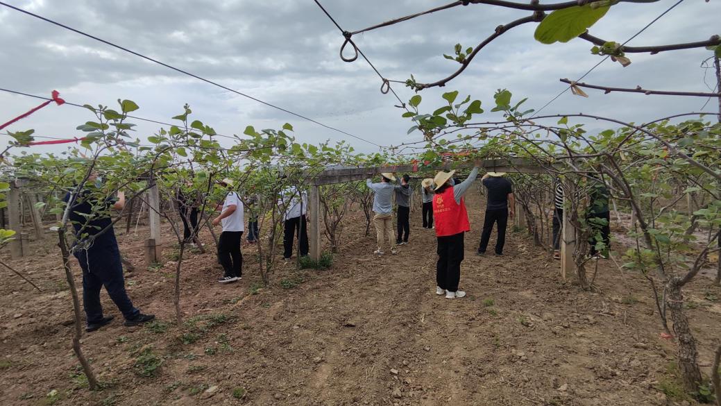 微信图片_20250422092701