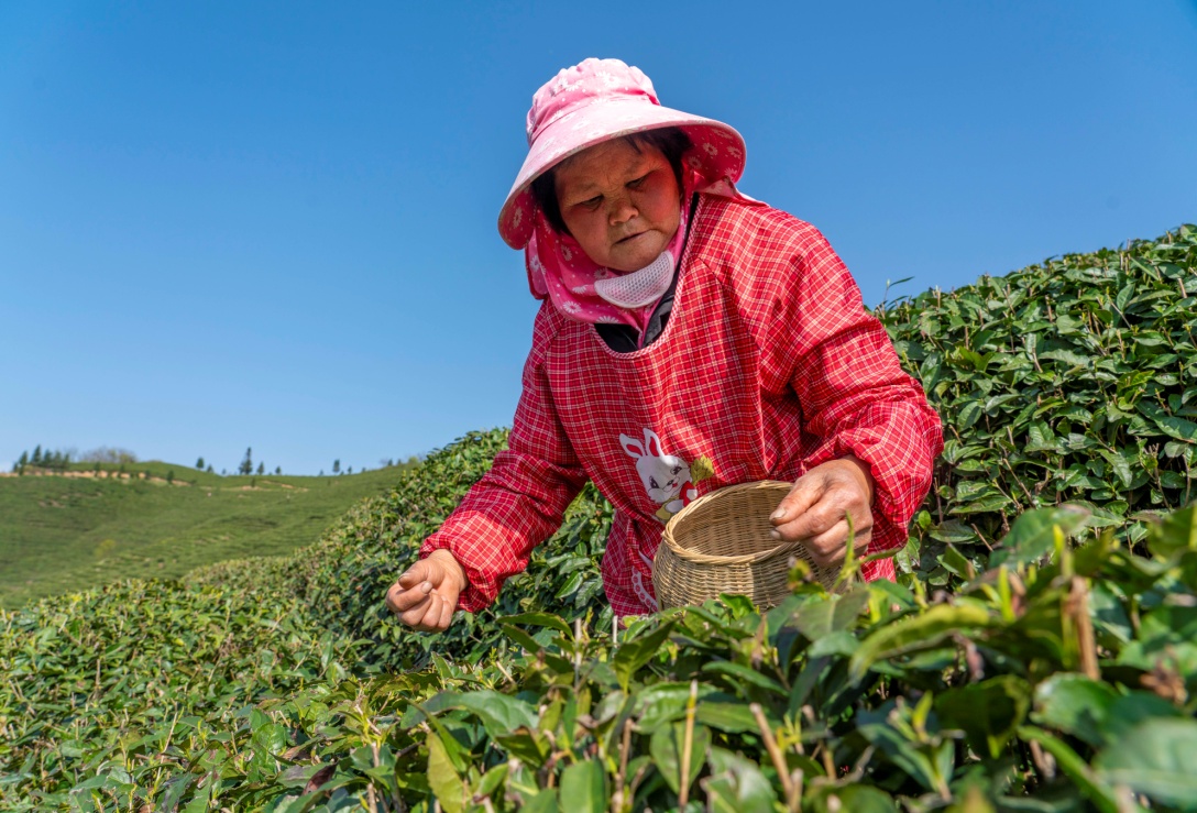 C:\Users\ADMINI~1\AppData\Local\Temp\WeChat Files\c43285652292c3b5a409436776144c4.jpg