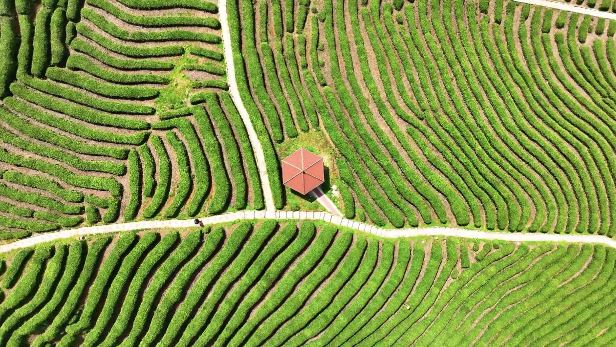 C:\Users\ADMINI~1\AppData\Local\Temp\WeChat Files\bd8f05688765cf186622d79bbdf68d9.png