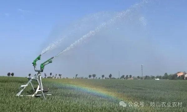 1745723718435036893.jpg