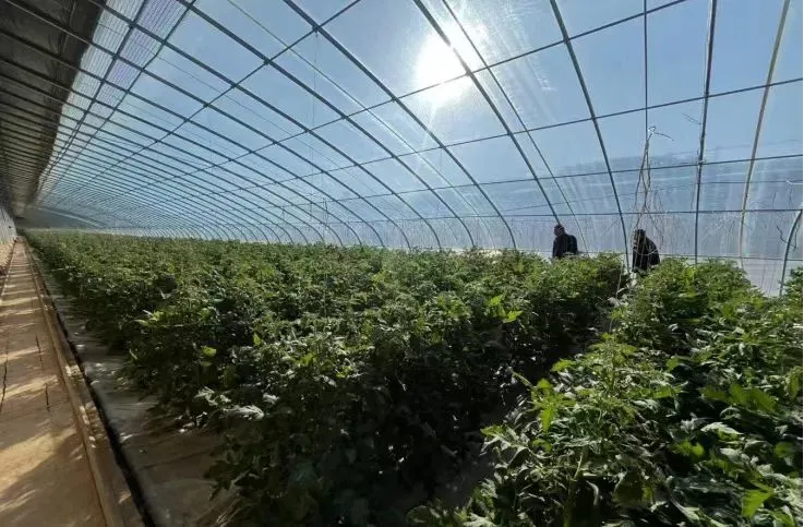 C:\Users\ADMINI~1\AppData\Local\Temp\WeChat Files\87175bc6214c99768d2e1bbca5e0165.jpg