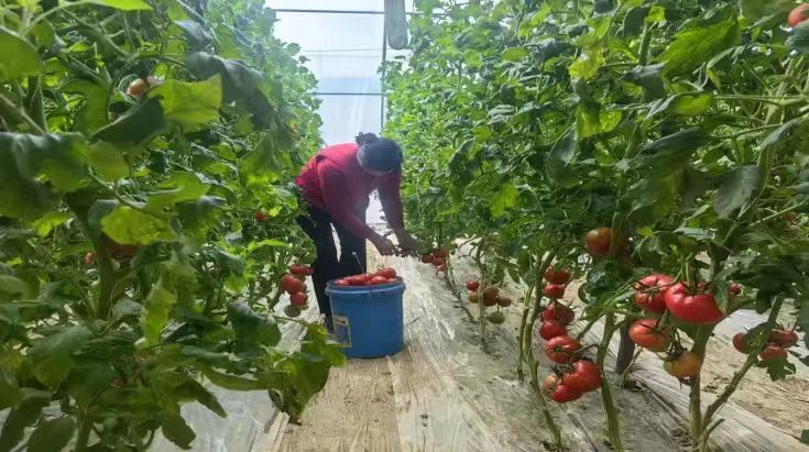 C:\Users\ADMINI~1\AppData\Local\Temp\WeChat Files\85d5bfbebfd4094a6bce87148ae5ae1.jpg