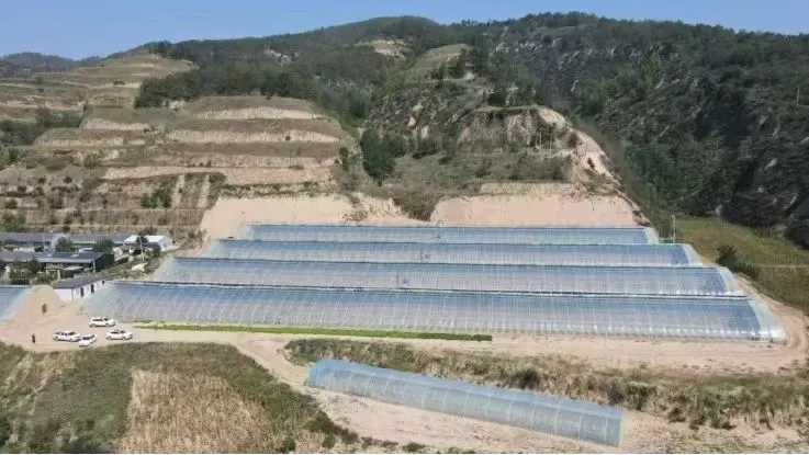 C:\Users\ADMINI~1\AppData\Local\Temp\WeChat Files\b7fe8ec41ec572e7e4a4a12eb194620.jpg