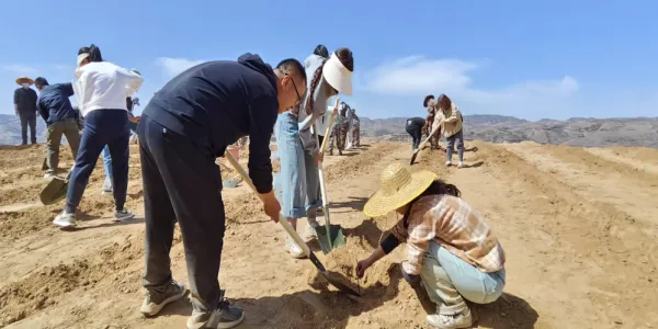 D:\Documents\WeChat Files\wxid_93fnk9ywzkz311\FileStorage\Temp\b95d324f877d962ec9652a1a09e981f2.png