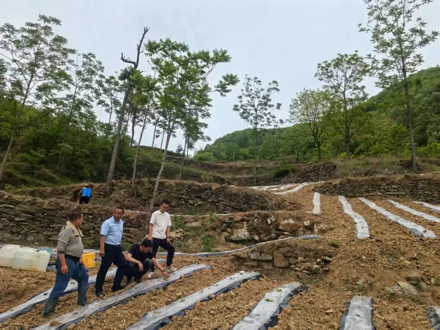 C:\Users\ADMINI~1\AppData\Local\Temp\WeChat Files\4cbea431976abea17dcc6e8bf4677f0.jpg