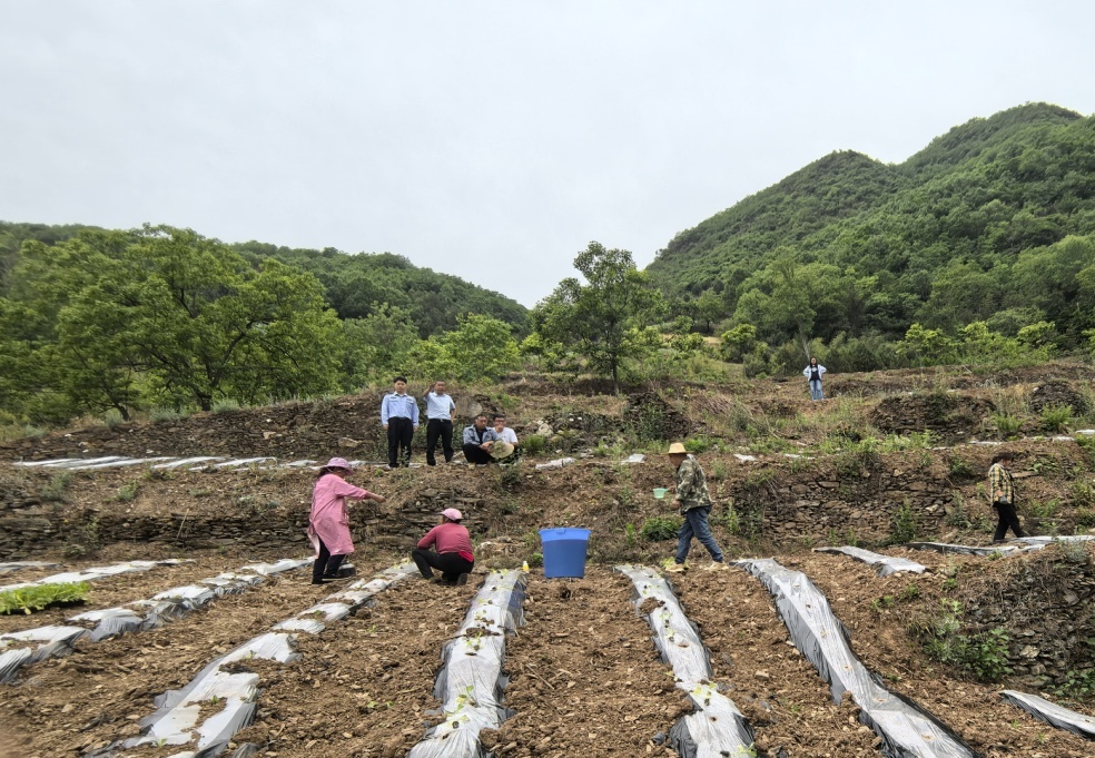 C:\Users\ADMINI~1\AppData\Local\Temp\WeChat Files\903a01d3ef5363e9cf4c1af9be5da30.jpg