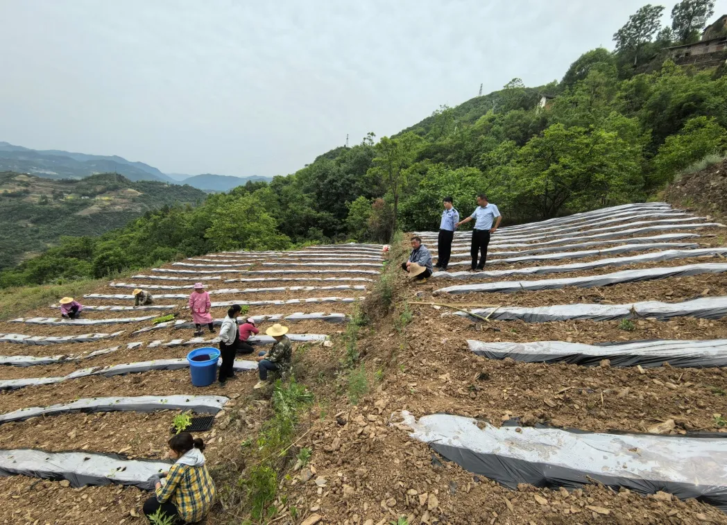 C:\Users\ADMINI~1\AppData\Local\Temp\WeChat Files\3e53e0f52763ab362ca3f0b3e1b6fa2.jpg