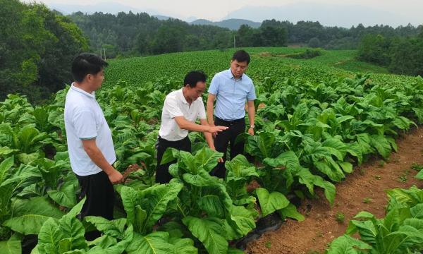 C:\Users\ADMINI~1\AppData\Local\Temp\WeChat Files\9654809b1d9cb3aab5e4b82407d26d7.jpg