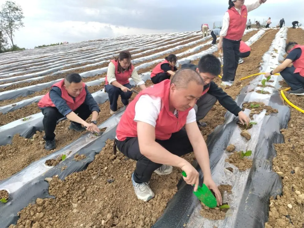 C:\Users\ADMINI~1\AppData\Local\Temp\WeChat Files\5a61060788a05677404f221db1b9995.jpg