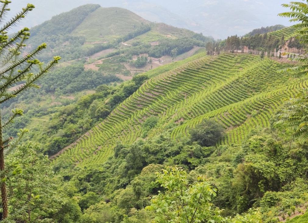 C:\Users\ADMINI~1\AppData\Local\Temp\WeChat Files\e070ff3c1572e9c89c1075286dd62b7.jpg