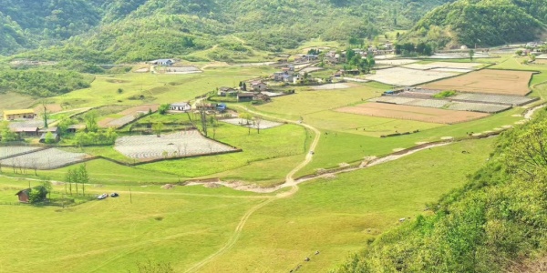 c7c081a131938159a598a7236d513db