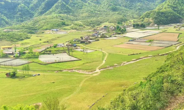 c7c081a131938159a598a7236d513db