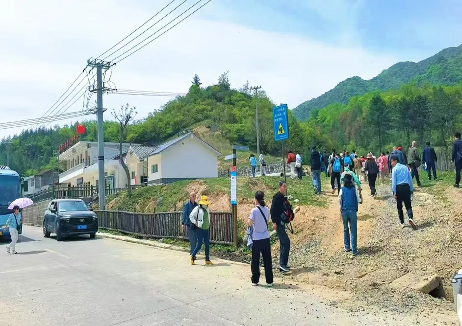 c8005bef0e455550399af7d3d393d1e