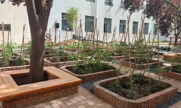 简篇-在实践中绽放劳动之美——扶风小学教育集团（联盟校)开展劳动课交流研讨活动