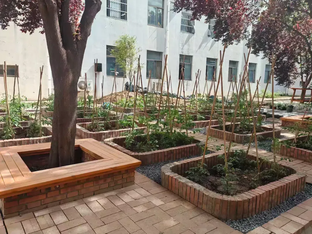 简篇-在实践中绽放劳动之美——扶风小学教育集团(联盟校)开展劳动课交流研讨活动