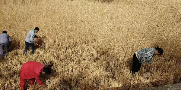 微信图片_20250523095323