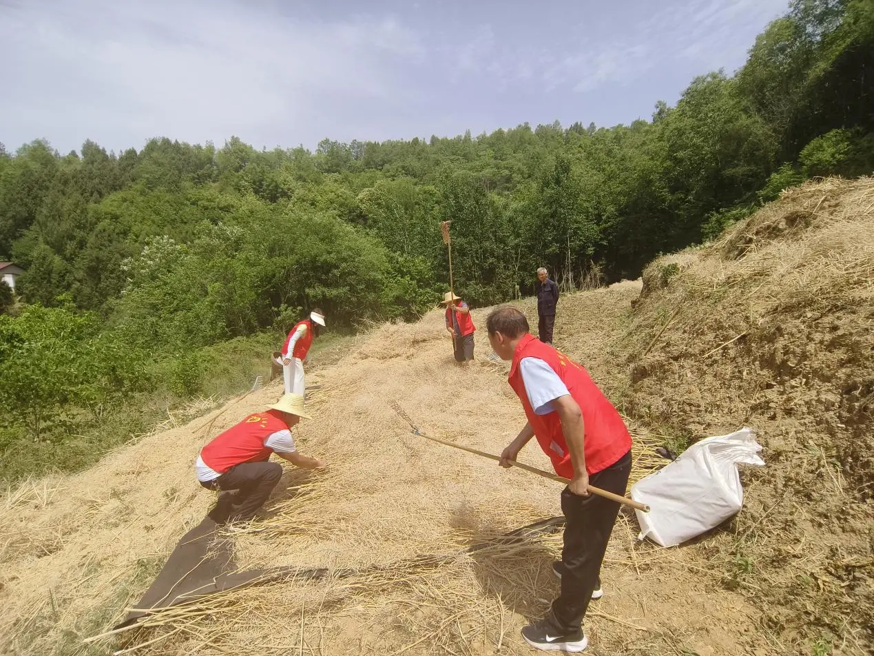 783665079b4a6620f151255455a0e1b