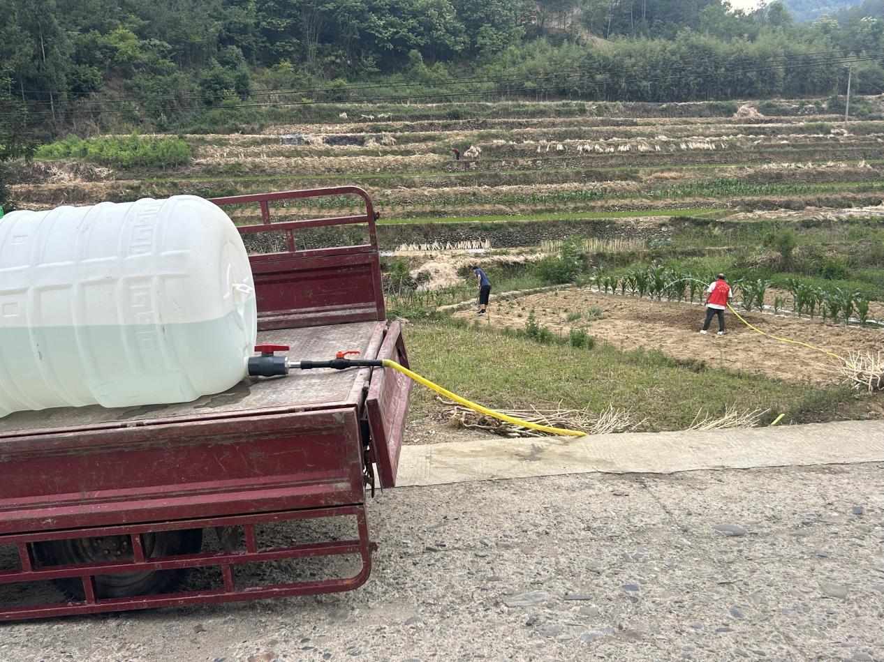 c570b1005b86999549e69d9d32114b5