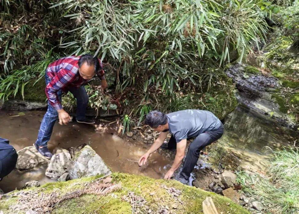 D:\Documents\WeChat Files\wxid_93fnk9ywzkz311\FileStorage\Temp\c8cb81f298cc7f2da6f60d6cfdc6305b.png