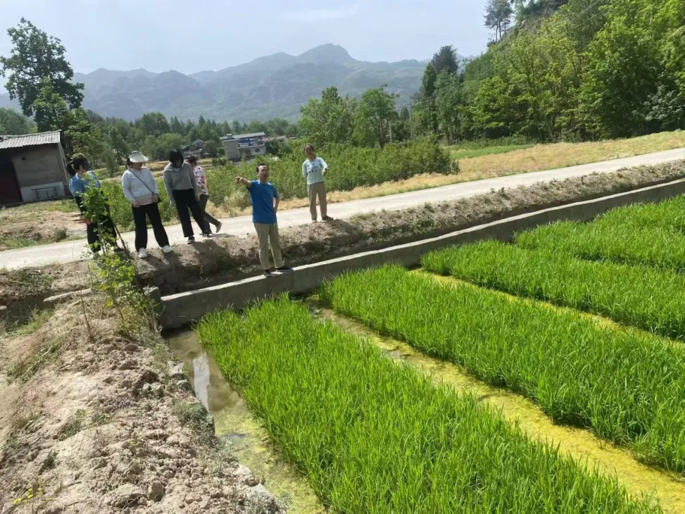 D:\Documents\WeChat Files\wxid_93fnk9ywzkz311\FileStorage\Temp\46c5ba0c5321664b209cb1a9dea45f0e.png