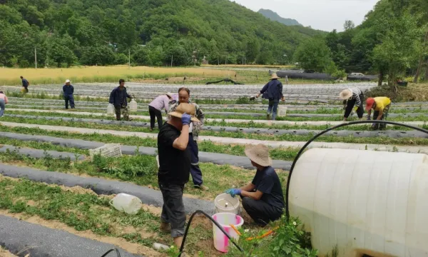 D:\Documents\WeChat Files\wxid_93fnk9ywzkz311\FileStorage\Temp\500f5d4bc1d8deb6bf33bf6c5cf01d4b.jpg