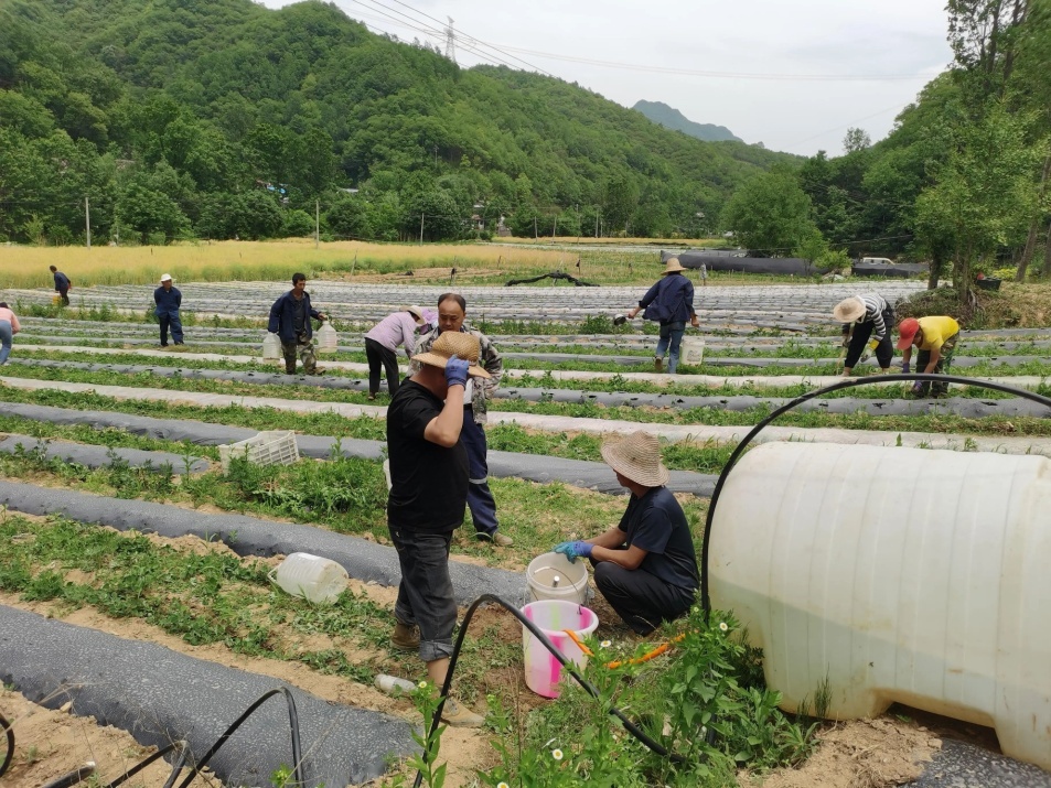 D:\Documents\WeChat Files\wxid_93fnk9ywzkz311\FileStorage\Temp\500f5d4bc1d8deb6bf33bf6c5cf01d4b.jpg