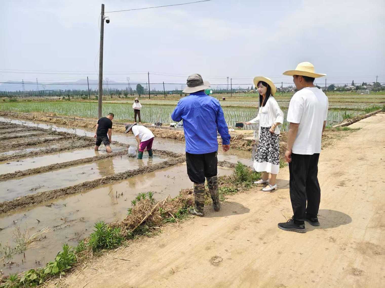 C:\Users\ADMINI~1\AppData\Local\Temp\WeChat Files\aa1fc1a1d569c1e351aaa196b54a218.jpg