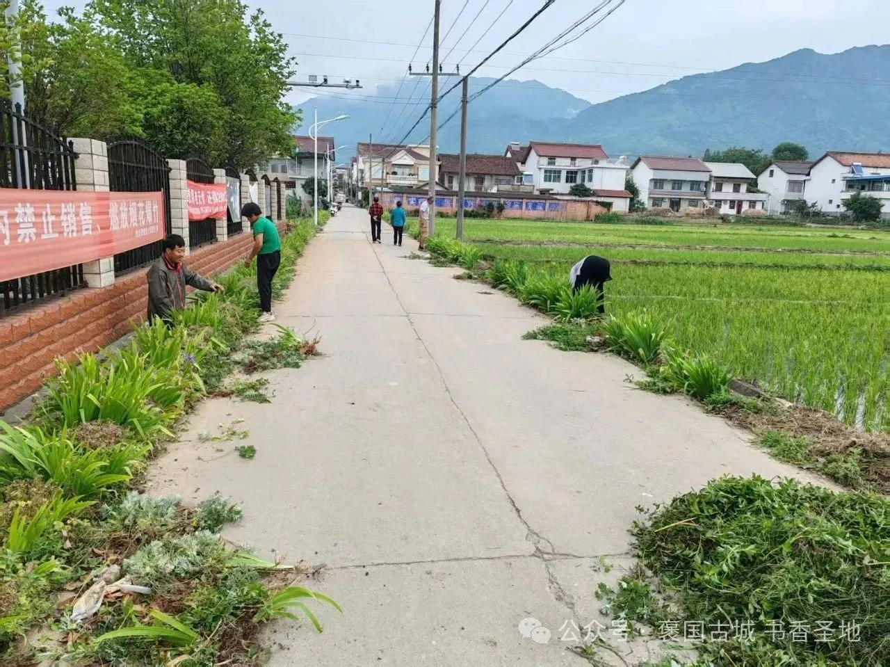 C:\Users\ADMINI~1\AppData\Local\Temp\WeChat Files\994b4ae6b5b3ac12bc7fe01cb4d033f.jpg