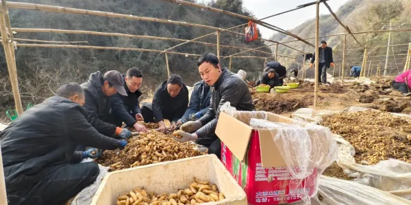 C:\Users\ADMINI~1\AppData\Local\Temp\WeChat Files\8b678c513d5a8cfac7f4dffba72550f.jpg