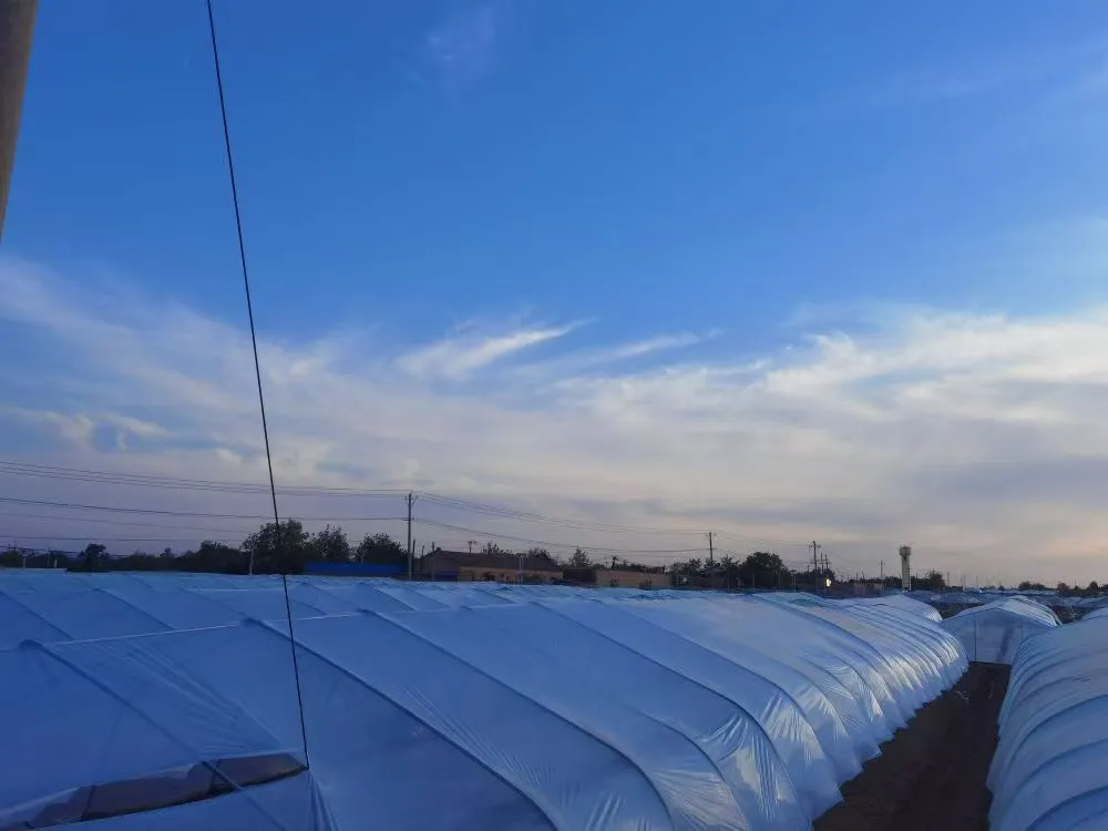 C:\Users\ADMINI~1\AppData\Local\Temp\WeChat Files\33b37fffbb88c3a203b21e88ebb6878.jpg