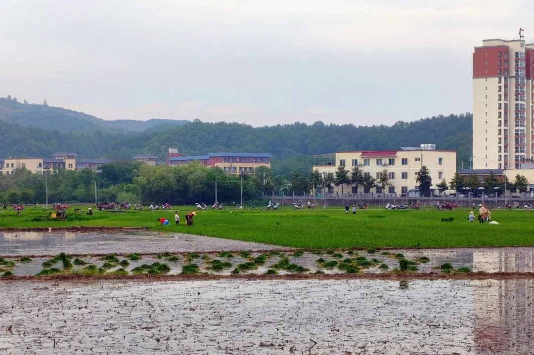 C:\Users\ADMINI~1\AppData\Local\Temp\WeChat Files\e3ec374a3e1cae99145a33928f9b04e.jpg