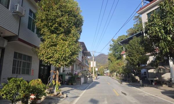 干净整洁的集镇街道